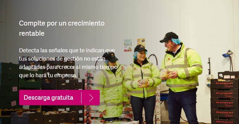 Creciemiento rentable empresa