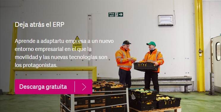 ERP para tu empresa